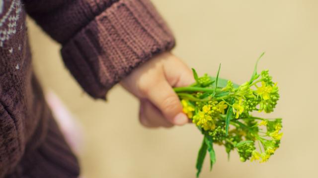 人教版小学语文一年级上册(人教版小学一年级语文课本目录)