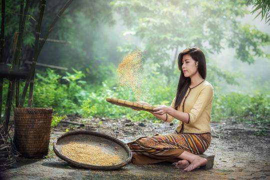 杏花楼月饼(上海肉月饼哪个牌子好)