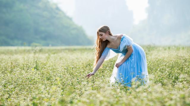 精美语段(摘抄精美语段十个、名言警句十句以上)