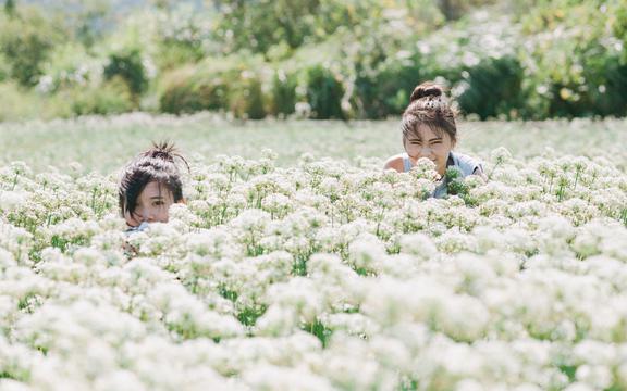 张籍节妇吟原文和翻译(《妇道》大结局里主角念了一首诗,这首诗是什么诗？)