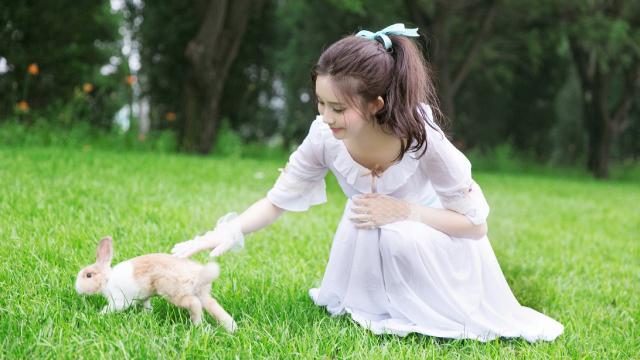 杏花楼月饼(上海肉月饼哪个牌子好)