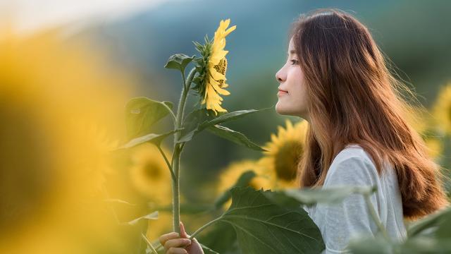 短歌行曹操赏析(短歌行曹操翻译及赏析短歌行表达了曹操怎样的情感)