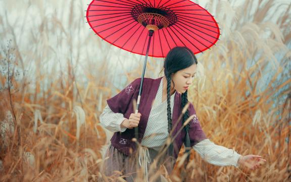 暮雨潇潇江上村(春江暮雨七言诗？)